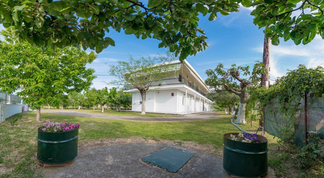 Michalos Apartments Paralía Skotínis 外观 照片